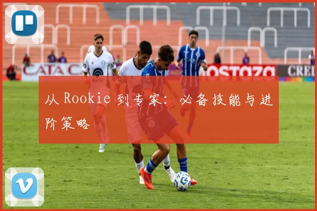 从 Rookie 到专家:必备技能与进阶策略