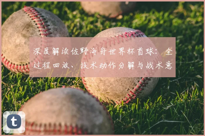 深度解读佐野海舟世界杯首球：全过程回放、技术动作分解与战术意义分析