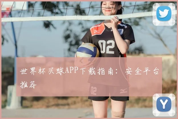 世界杯买球APP下载指南：安全平台推荐
