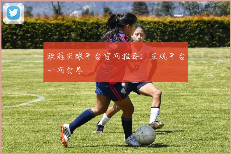 欧冠买球平台官网推荐：正规平台一网打尽