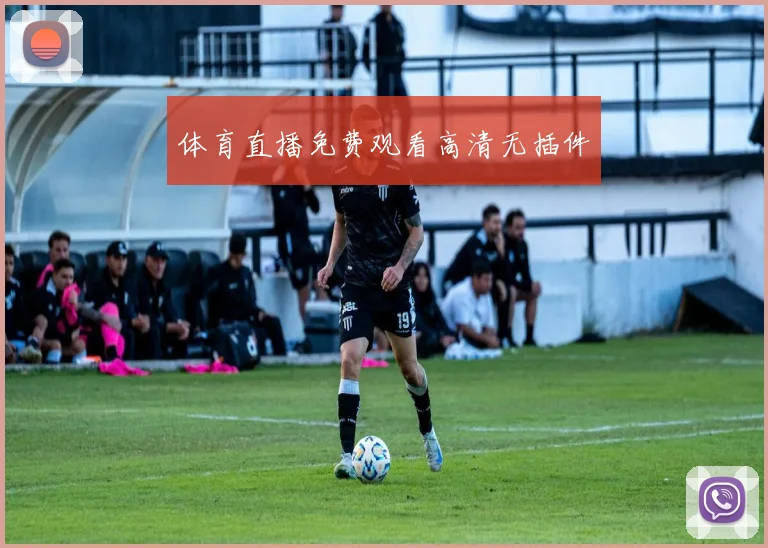 体育直播免费观看高清无插件