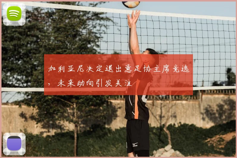 加利亚尼决定退出意足协主席竞选，未来动向引发关注
