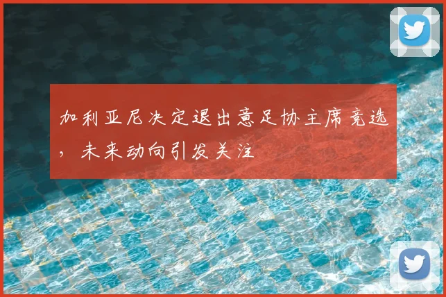 加利亚尼决定退出意足协主席竞选，未来动向引发关注